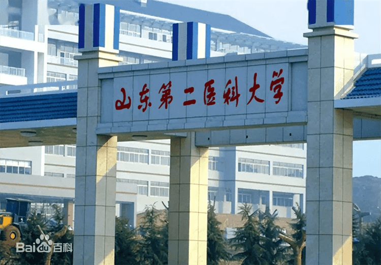 Shandong-Second-Medical-University